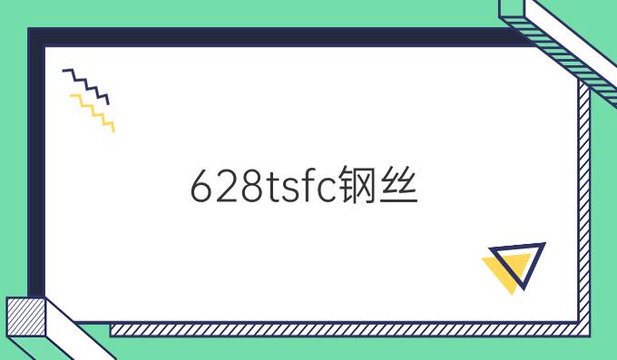 6*28ts~fc钢丝