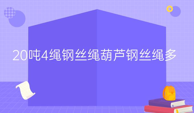 20吨4绳钢丝绳葫芦钢丝绳多大