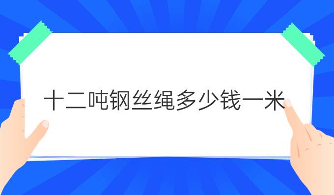 十二吨钢丝绳多少钱一米