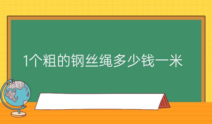 1个粗的钢丝绳多少钱一米