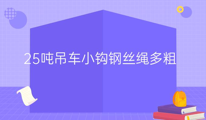 25吨吊车小钩钢丝绳多粗