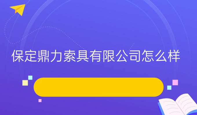 保定鼎力索具有限公司怎么样