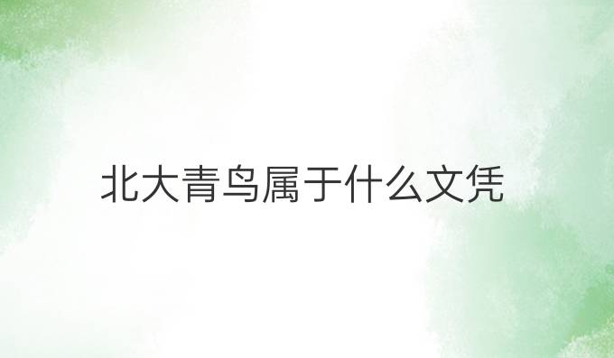 北大青鸟属于什么文凭