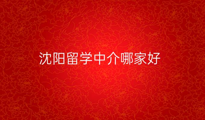 沈阳留学中介哪家好